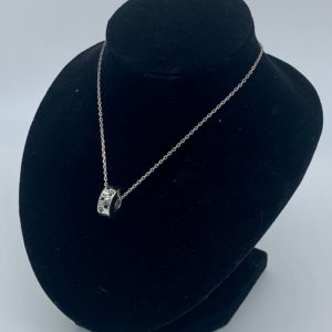 Pawprint Rollo Pet Cremation Necklace